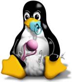 10o aniversario de Linux